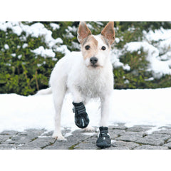 Weißer Hund trägt schwarze Walker-Active-Schuhe auf Pflaster neben Schnee
