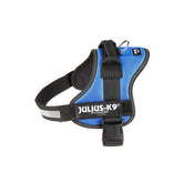 Blaues JULIUS-K9-Powergeschirr mit schwarzem Haltegriff, Anleinring und Reflexstreifen