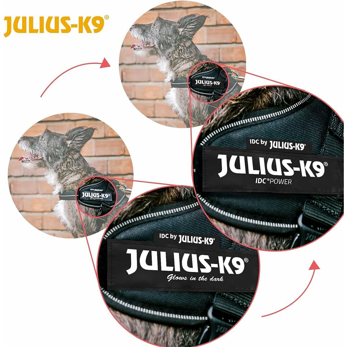 Hundegeschirr Julius K9 IDC Schwarz – Produktansicht 8