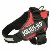 Rotes JULIUS-K9-IDC-Geschirr mit schwarzem Bauchgurt, Haltegriff und oberem Anleinring