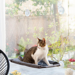 Pack Klammer für Selfies mit Haustieren und Hängematte für Katzen InnovaGoods – Produktansicht 9