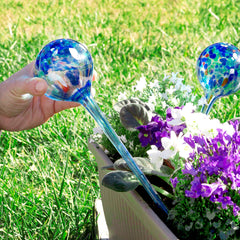 Aqua-Loon-Bewässerungskugel wird in die Erde eines Blumenkastens gesetzt