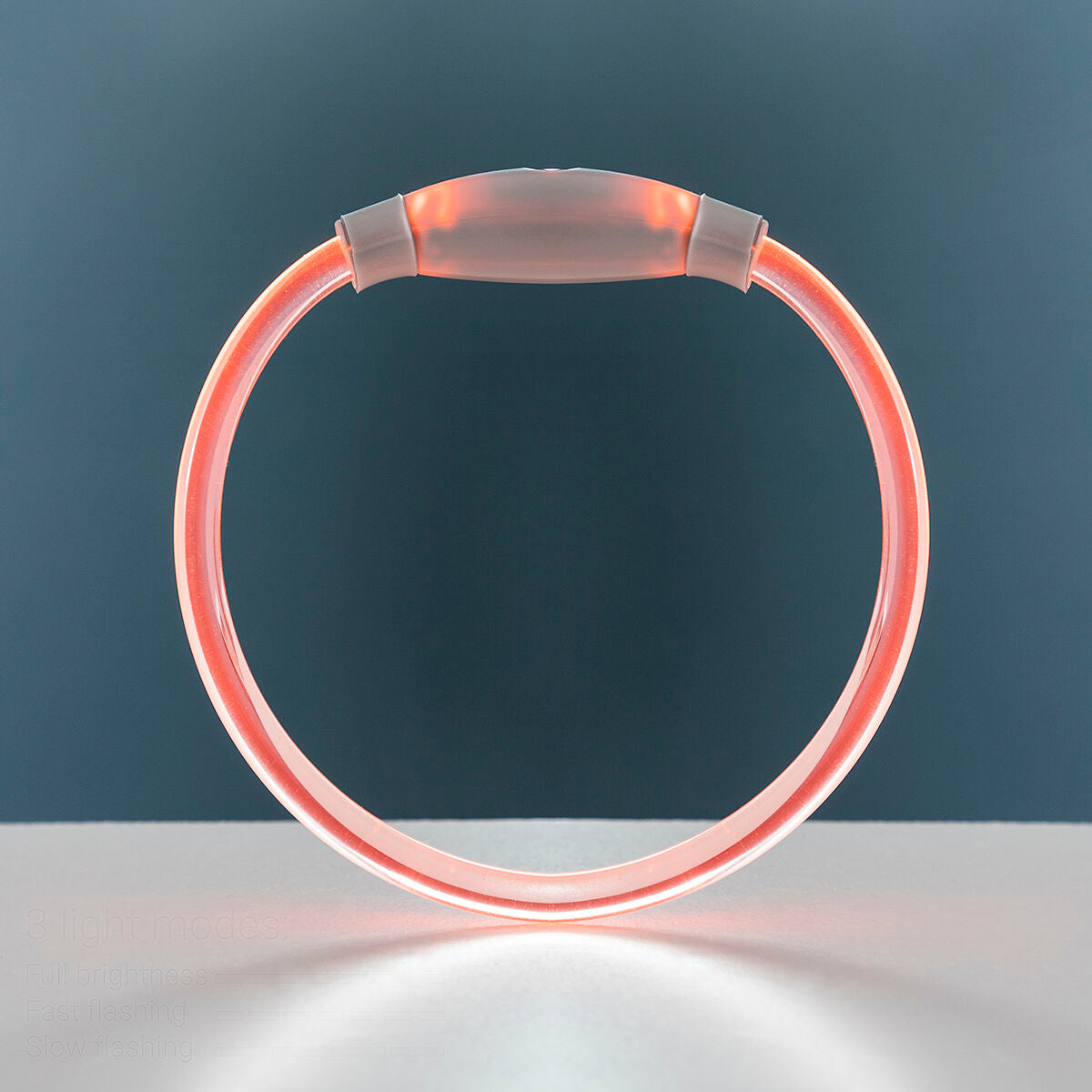 LED-Halsband für Haustiere Petlux – Ben's Pets – Produktansicht 6