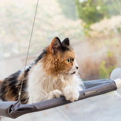 Katze auf der Oxford-Stoffauflage der Catlax Fensterliege