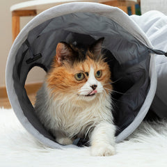 Katze liegt im Eingang des grauen Funnyl-Katzentunnels
