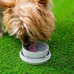 Hund trinkt aus dem abgenommenen Leashic-Wassernapf