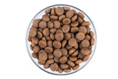 StarVita Puppy Large Ente & Huhn 12 kg – Fütterungshinweis 2