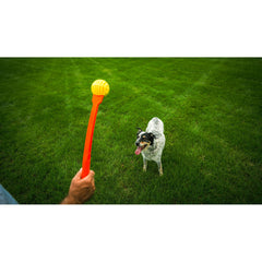 Hand hält den orangefarbenen Flingerz-Wurfstab mit gelbem Ball vor einem Hund auf einer Wiese