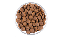 StarVita Adult Rind & Fisch 12 kg – Fütterungshinweis 3