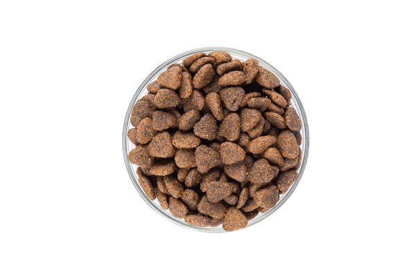 StarVita Active Dogs 12 kg – Fütterungshinweis 3