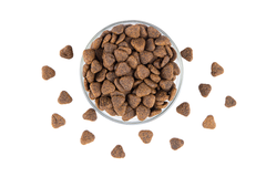 StarVita Active Dogs 12 kg – Fütterungshinweis 4