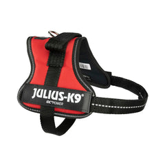 Rotes JULIUS-K9-Geschirr mit sichtbarer Innenseite und schwarzem Brustgurt