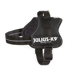 Schwarzes JULIUS-K9-Powergeschirr mit seitlichem Schriftzug, Schnalle und Haltegriff