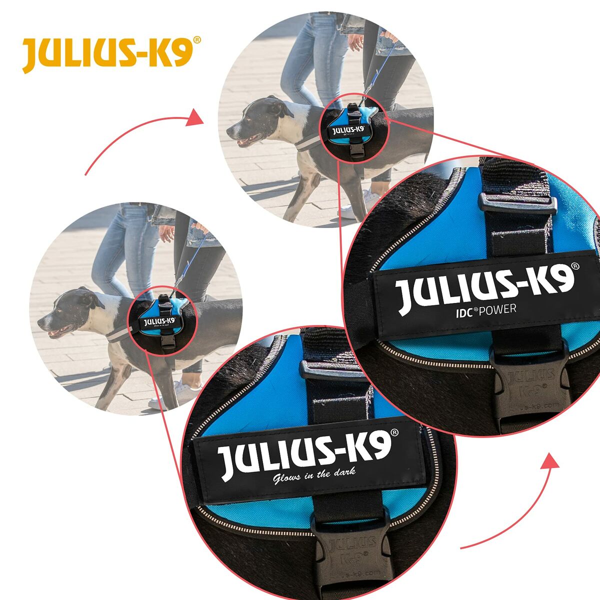 Hundegeschirr Julius K9 Power Blau M/L – Produktansicht 4
