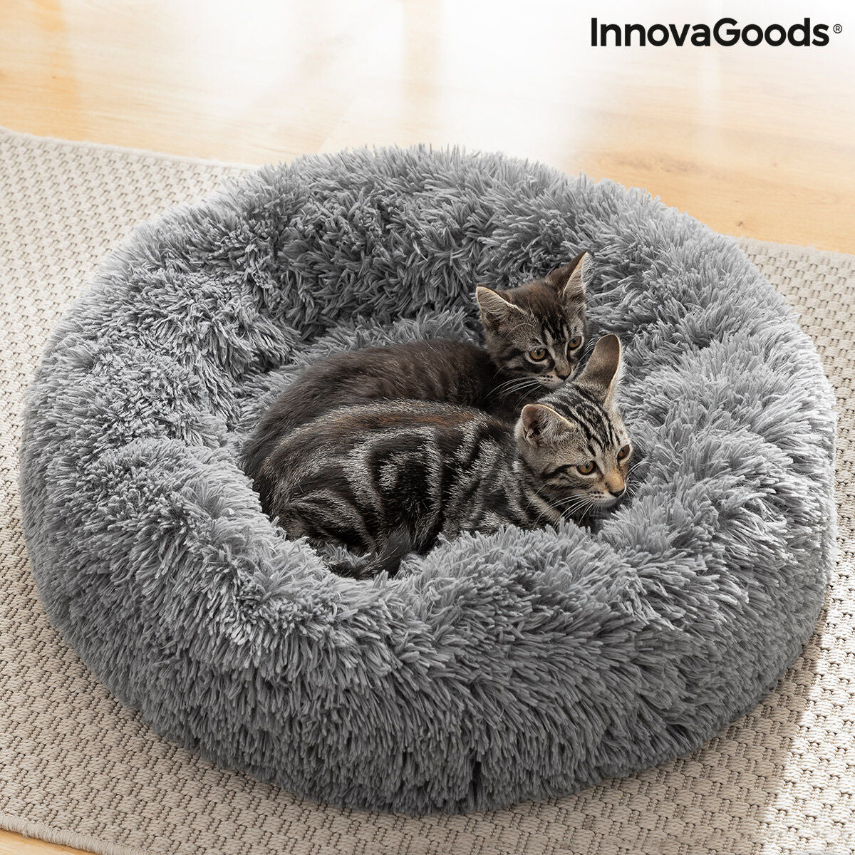 Zwei Katzen liegen im runden grauen Bepess-Haustierbett
