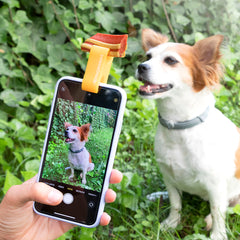 Pack Klammer für Selfies mit Haustieren und Hängematte für Katzen InnovaGoods – Produktansicht 2