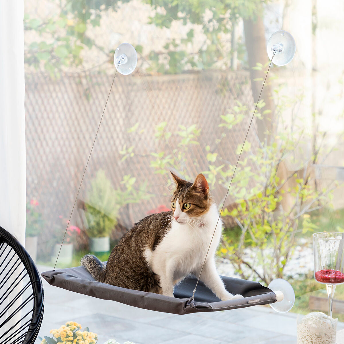 Pack Klammer für Selfies mit Haustieren und Hängematte für Katzen InnovaGoods – Produktansicht 9