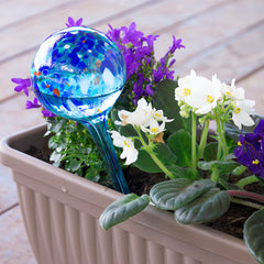 Blaue Aqua-Loon-Glaskugel in einem Blumenkasten
