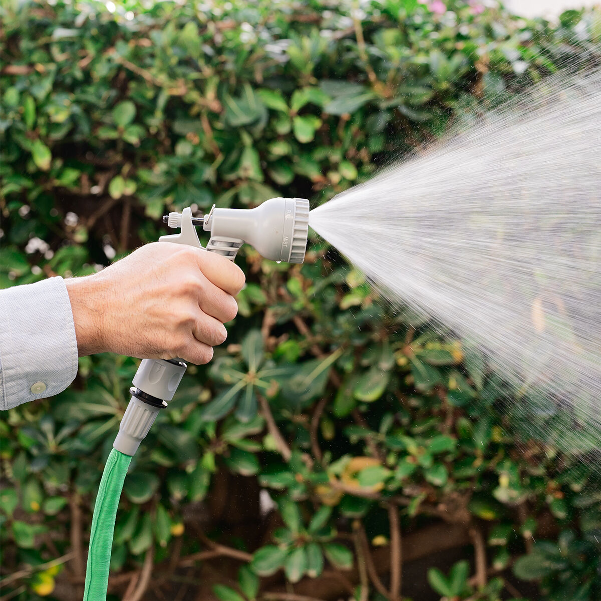 Nahaufnahme der Hoostend-Brause mit Wasserstrahl beim Gießen